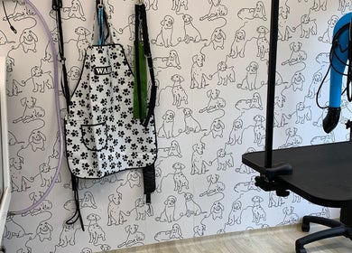 Inside Happy Hounds Dog Grooming in Wisbech Saint Mary, England featuring a dog-patterned wall and grooming tools.