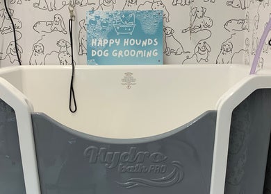 Pet bathing station at Happy Hounds Dog Grooming, Wisbech Saint Mary, England, GB, featuring Hydro Bath Pro.