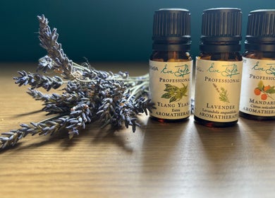Lavender sprigs and essential oils at A.M.B.E.R Aromatherapy and Massage, Dalkeith, Scotland, GB.