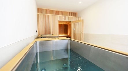 Luxurious spa room at Excelsius Wellness, Forest Glen, Queensland, AU with modern soaking tub.