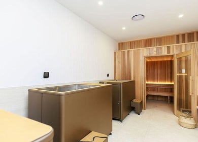 Modern spa and sauna at Excelsius Wellness, Forest Glen, Queensland, AU, offering a luxurious relaxation space.