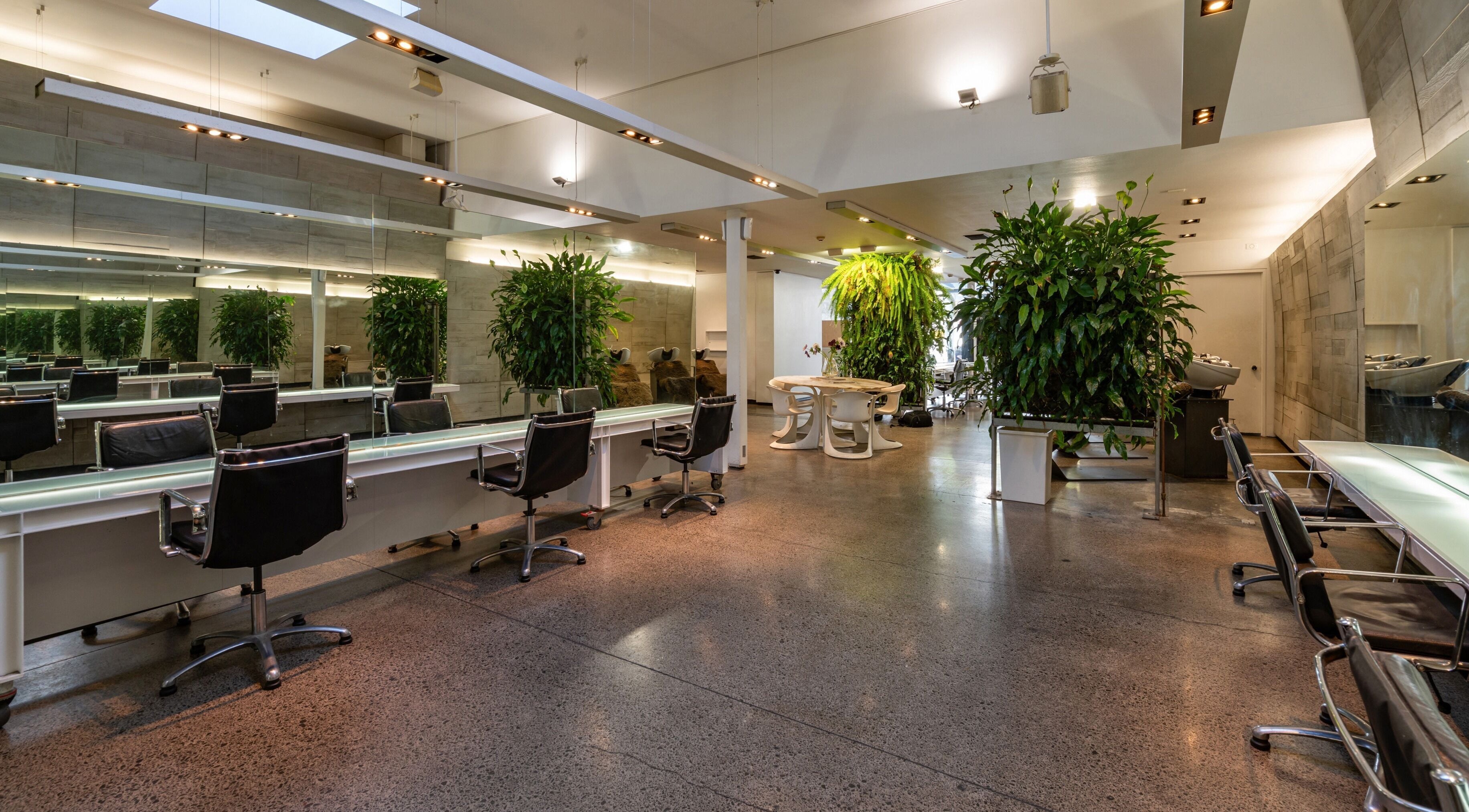 Relaxing salon interior at Stephen Marr, Auckland, NZ, featuring chairs, mirrors, and lush plants.