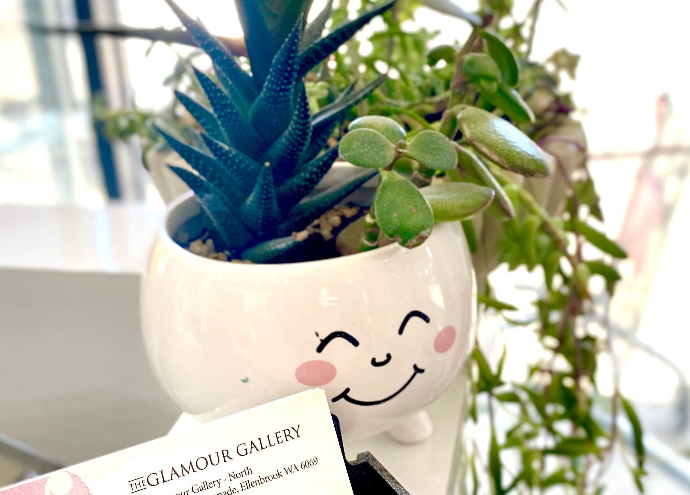 Smiling plant pot with succulents at The Glamour Gallery, Ellenbrook, Western Australia, AU.