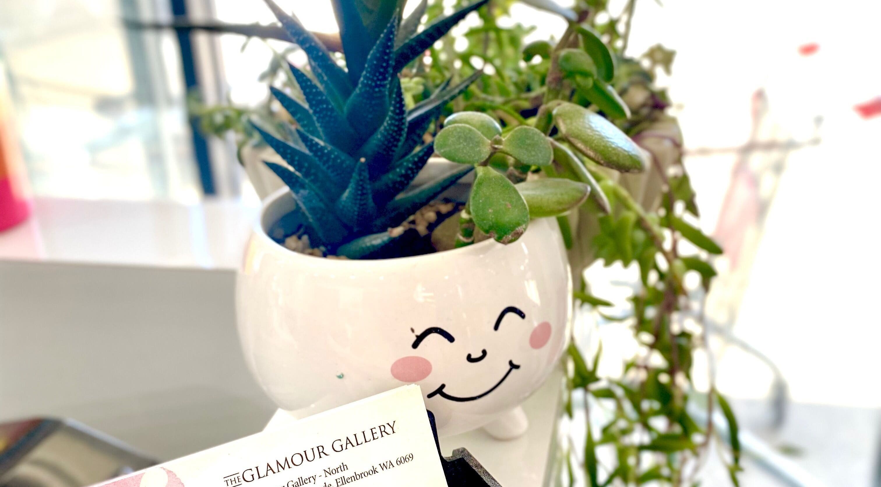 Smiling plant pot with succulents at The Glamour Gallery, Ellenbrook, Western Australia, AU.