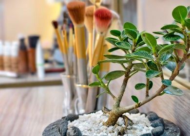 Peaceful plant and makeup brushes at Salon Robarosiya, Gelioya, Central Province, LK.