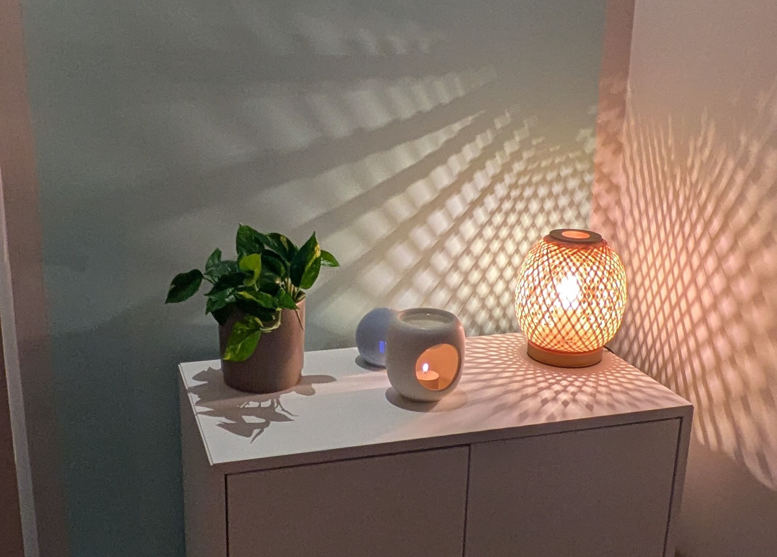 Calming lamp and plants at Azure Wellness, Combe Martin, England, GB, creating a tranquil ambiance.