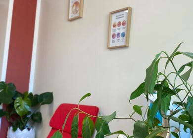 Espace intérieur apaisant chez Danaëlle Muller - Psychopraticienne à Lingolsheim, Grand Est, FR.