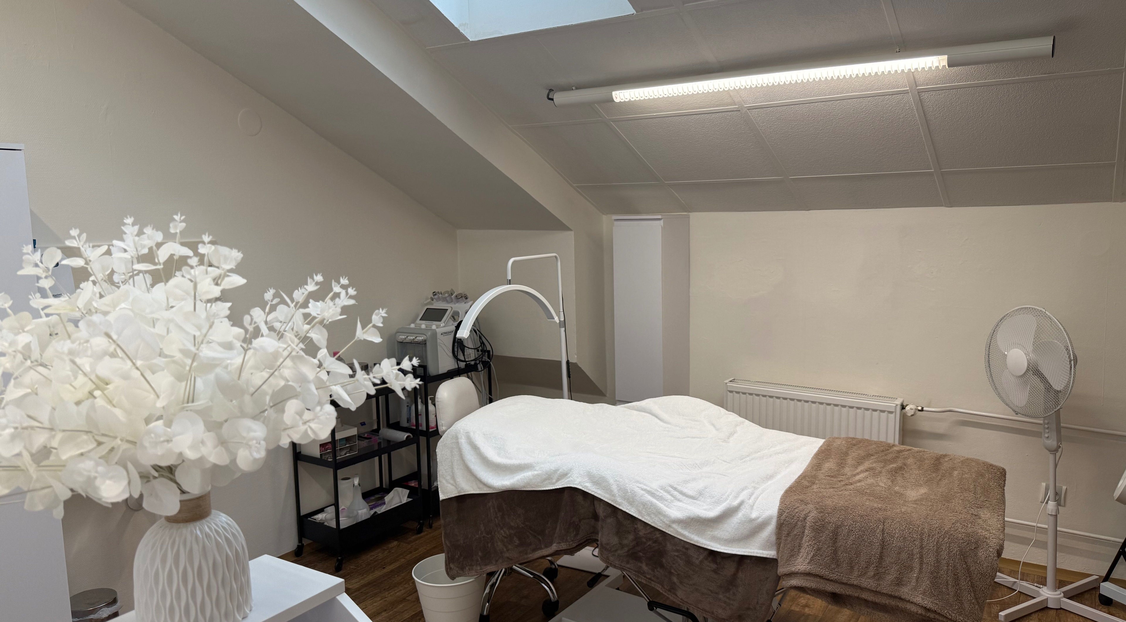 Interiér ošetřovny SkinMax ve Středočeský Kraj, Středočeský Kraj, CZ, s elegantním bílým dekorem.