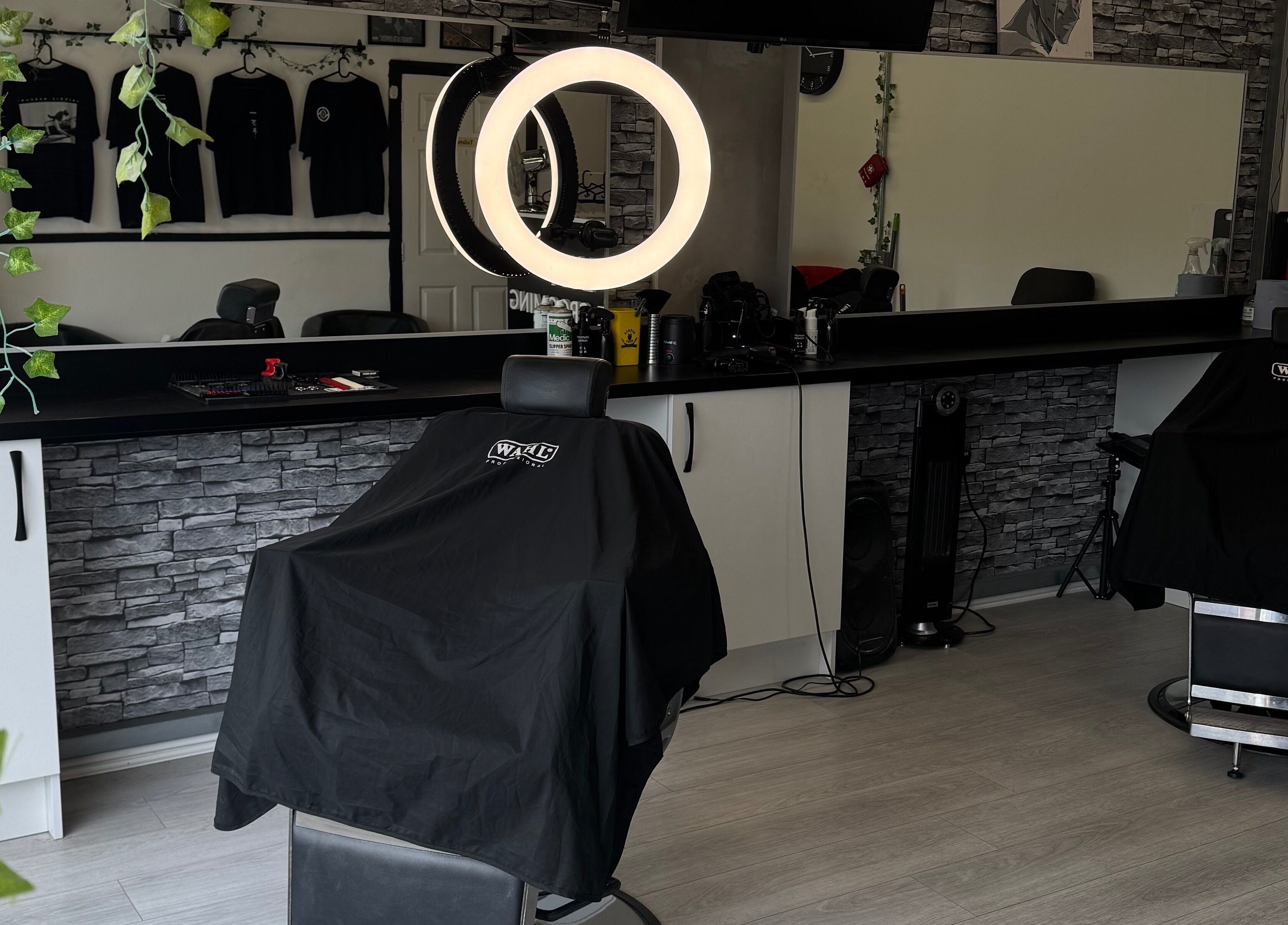 LuxMaleGrooming interior with chic barber chairs, mirrors, and ivy decor in Kildare, County Kildare, IE.