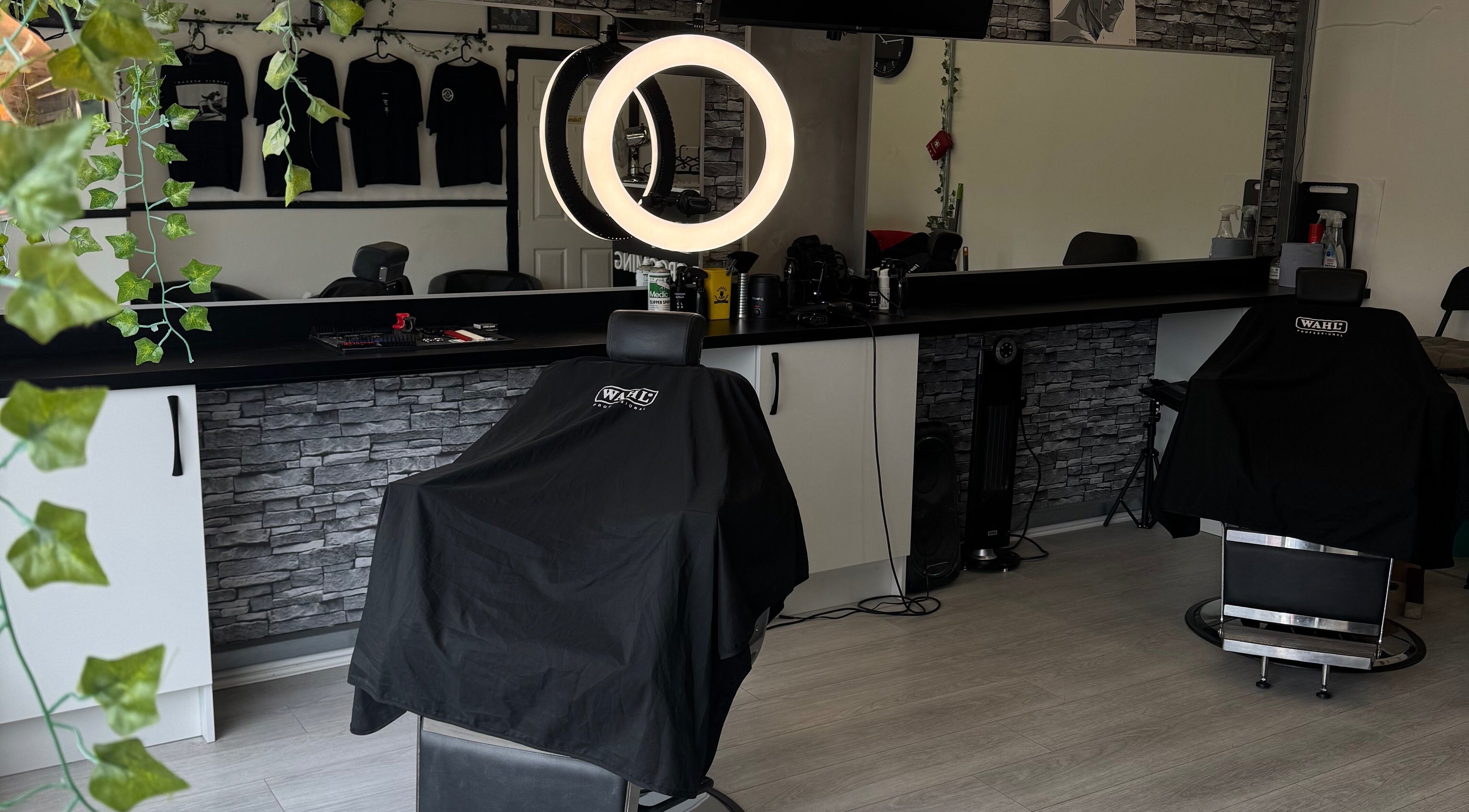 LuxMaleGrooming interior with chic barber chairs, mirrors, and ivy decor in Kildare, County Kildare, IE.