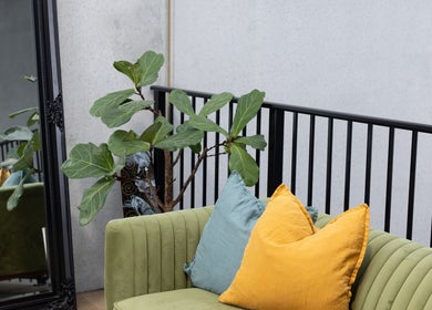 Stylish lounge at Drader Brows, featuring green sofa and vibrant cushions in Auckland, Auckland, NZ.