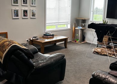 Relaxing lounge area at KJCleans in Manawatu, Manawatū-whanganui Region, NZ with comfy seating and decor.