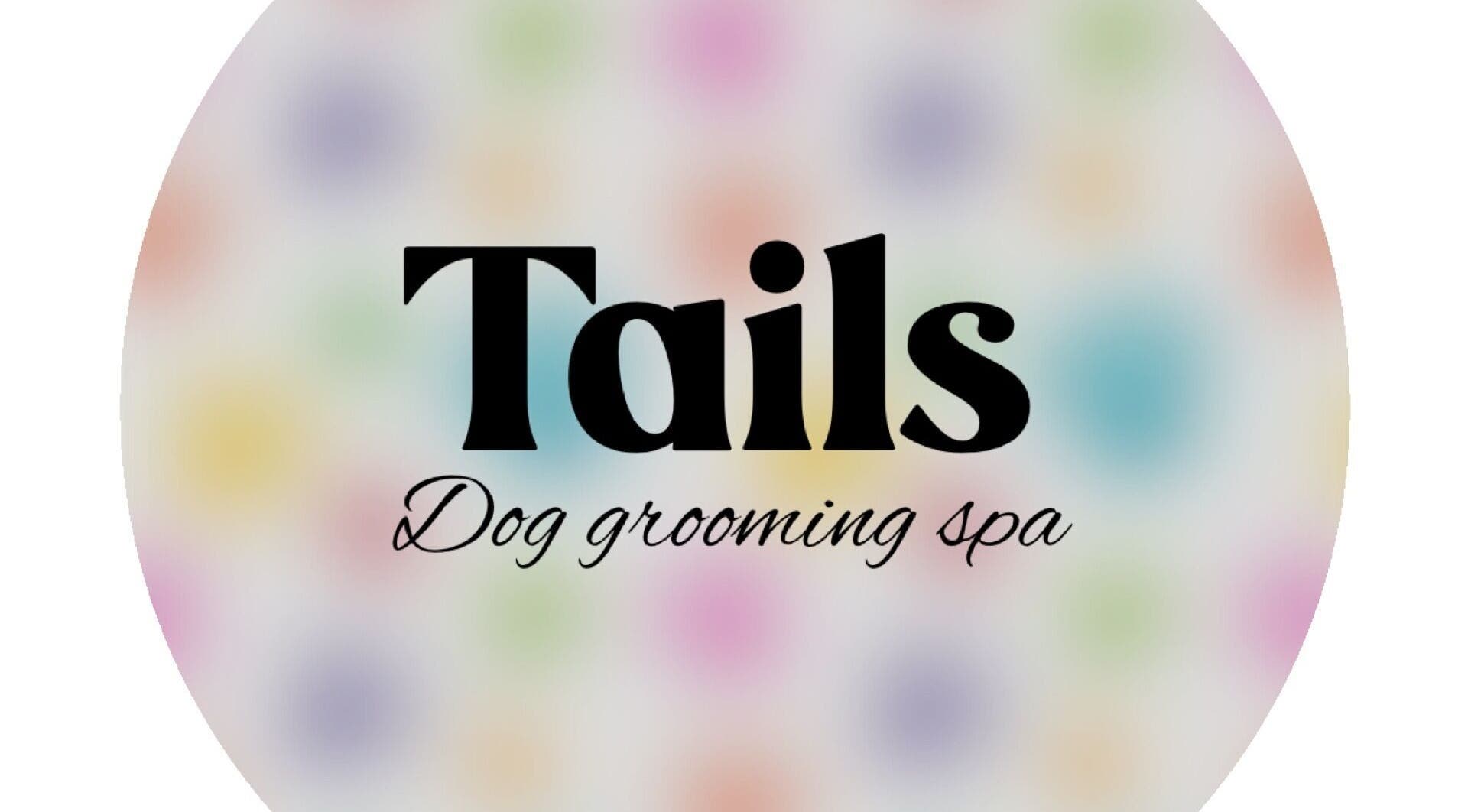Tails Dog Grooming logo with colorful background, Clydebank, Scotland, GB.