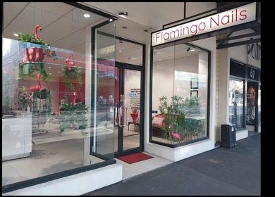 Entrance of Flamingo Nails Nelson with bright sign and plants in Nelson, Nelson Region, NZ.
