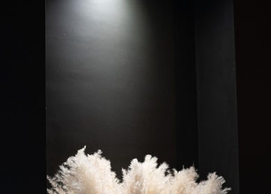 Minimalist nook with pampas grass in Groom Gentleman's Grooming Barbers Lingfield, Lingfield, England, GB.
