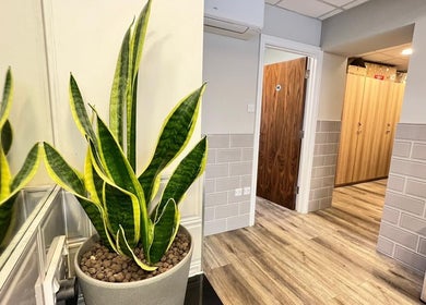 A welcoming entryway with greenery at AURA MASSAGE AND CUPPING CLINIC, London, England, GB.