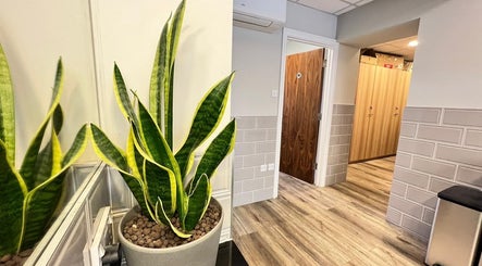 A welcoming entryway with greenery at AURA MASSAGE AND CUPPING CLINIC, London, England, GB.