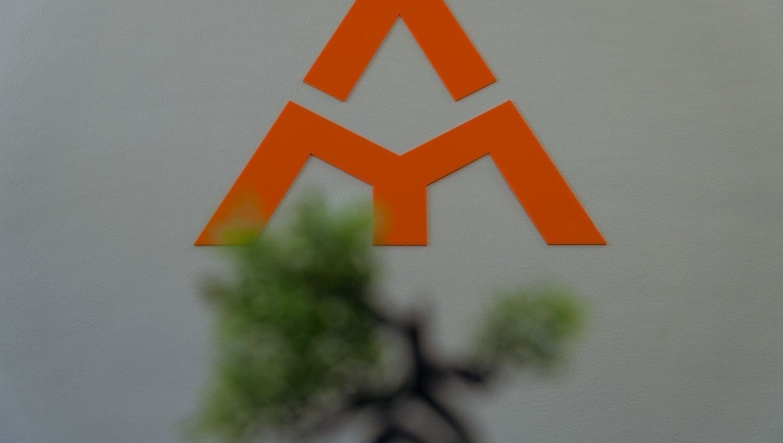 Емблема на стената в Атмосфера 2000 ЕООД, София, София-град, БГ. Декоративен елемент с елегантност.