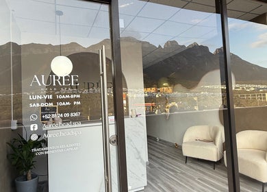 Puerta de entrada a Eurée Head Spa Capilar en Monterrey, Nuevo León, MX con vista a la montaña.