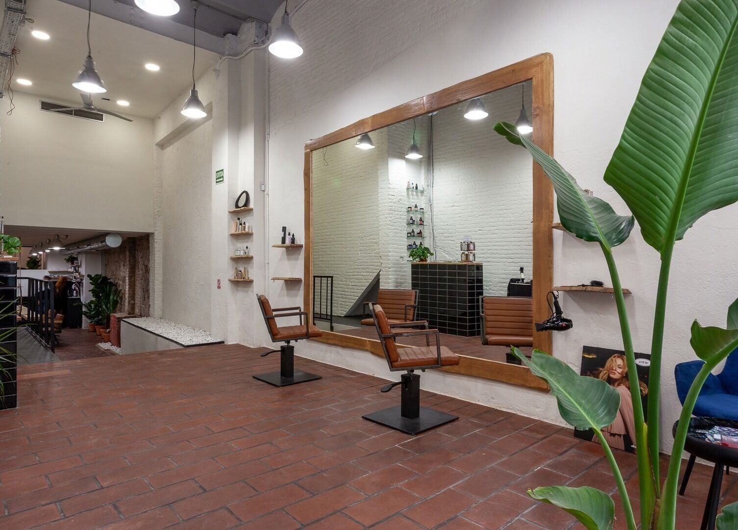 Interior moderno de Carla Tinta y Tijeras, Barcelona, Catalunya, ES, con sillas elegantes y plantas.