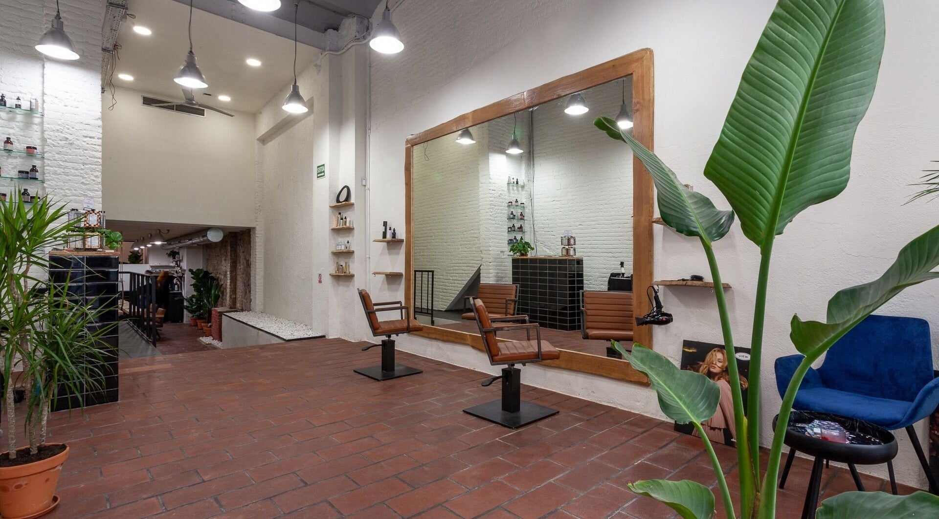 Interior moderno de Carla Tinta y Tijeras, Barcelona, Catalunya, ES, con sillas elegantes y plantas.