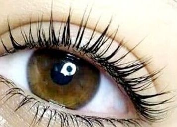 Close-up of enhanced lashes at Miss Volume, Rose Bay, New South Wales, AU, showcasing expert beauty treatment.