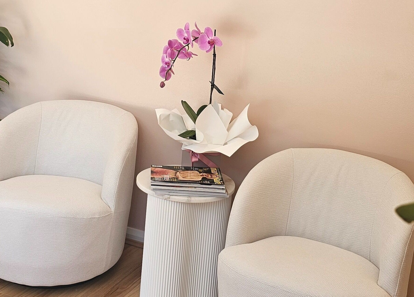 Stylish lounge area at Miss Volume, Rose Bay, New South Wales, AU featuring modern chairs and decor.