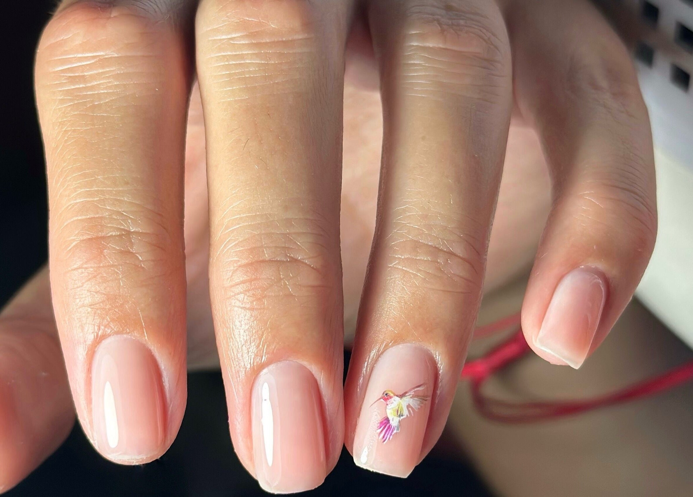 Елегантен маникюр с цветна птица в MG Art Nails, Смолян, Смолян, BG.