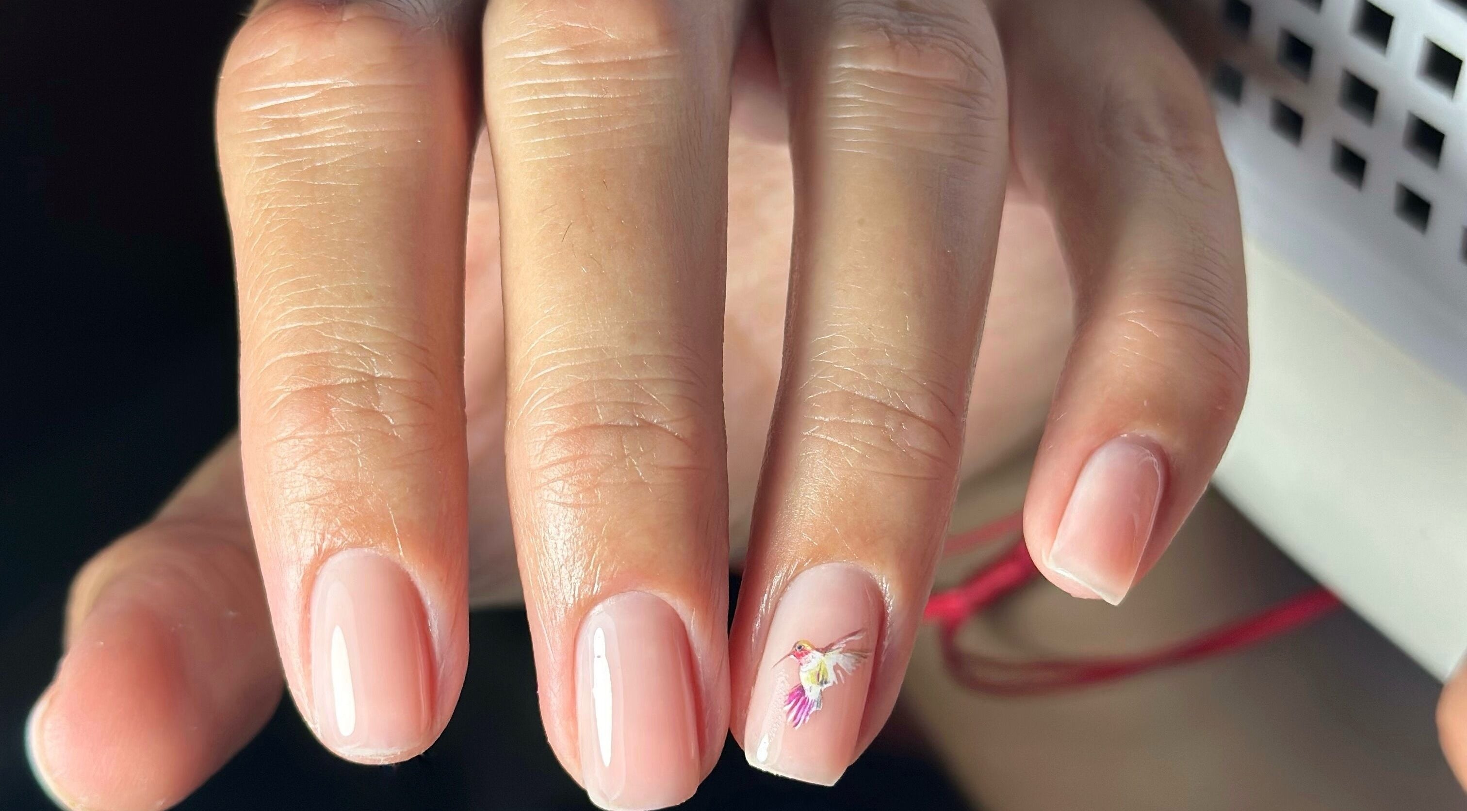 Елегантен маникюр с цветна птица в MG Art Nails, Смолян, Смолян, BG.