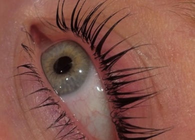 Close-up of styled eyelashes at prettify by MJ, Sidcup, England, GB, showcasing expert lash lift.