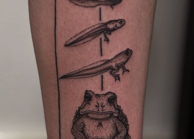 Detailed frog evolution tattoo at Slyther INK, Spokane, Washington, US showcasing artistic skill.