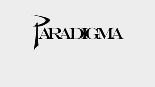 Paradigma Estudio de Imagen