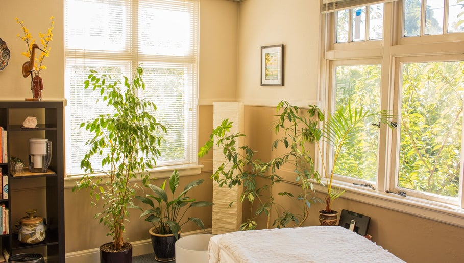 Relaxing interior at Taller De Lo Invisible, Portland, Oregon, US with greenery and natural light.