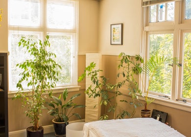 Relaxing interior at Taller De Lo Invisible, Portland, Oregon, US with greenery and natural light.