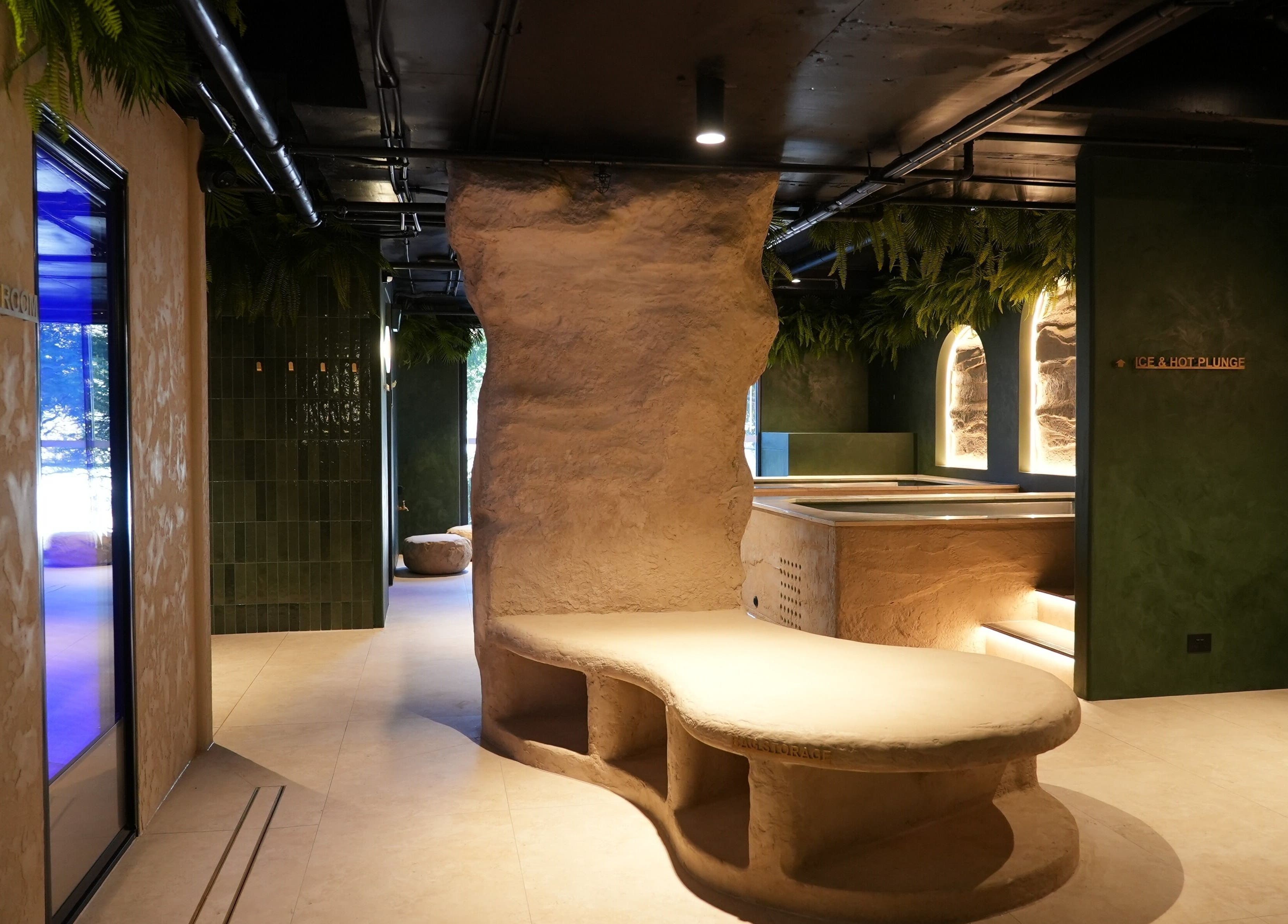 Modern earthy interior of REVIVE WELLNESS GLEBE, Glebe, New South Wales, AU, with unique natural elements.