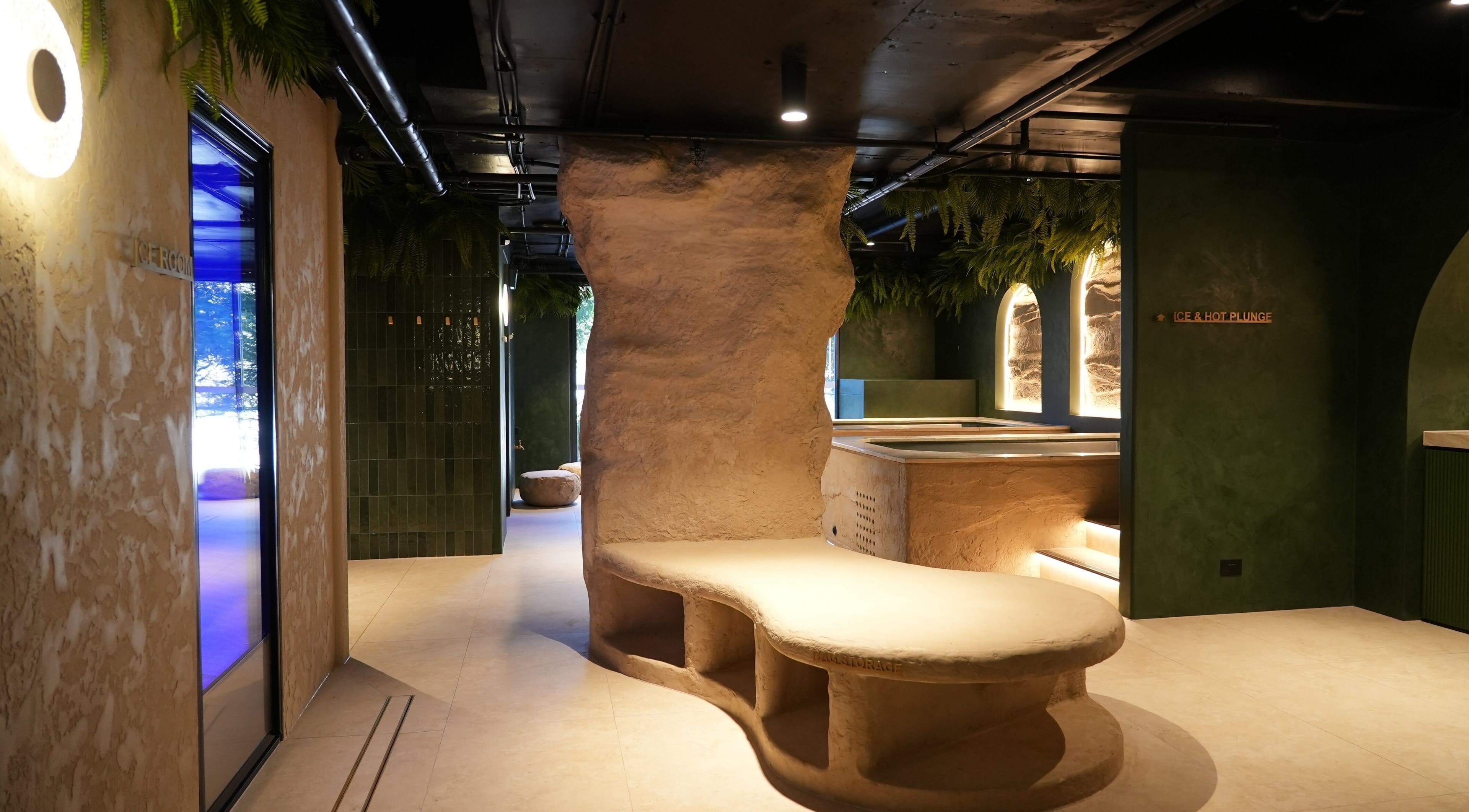 Modern earthy interior of REVIVE WELLNESS GLEBE, Glebe, New South Wales, AU, with unique natural elements.