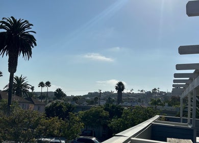 Scenic view from The Luxe Lash Studio in Dana Point, California, US, featuring palm trees and rooftops.
