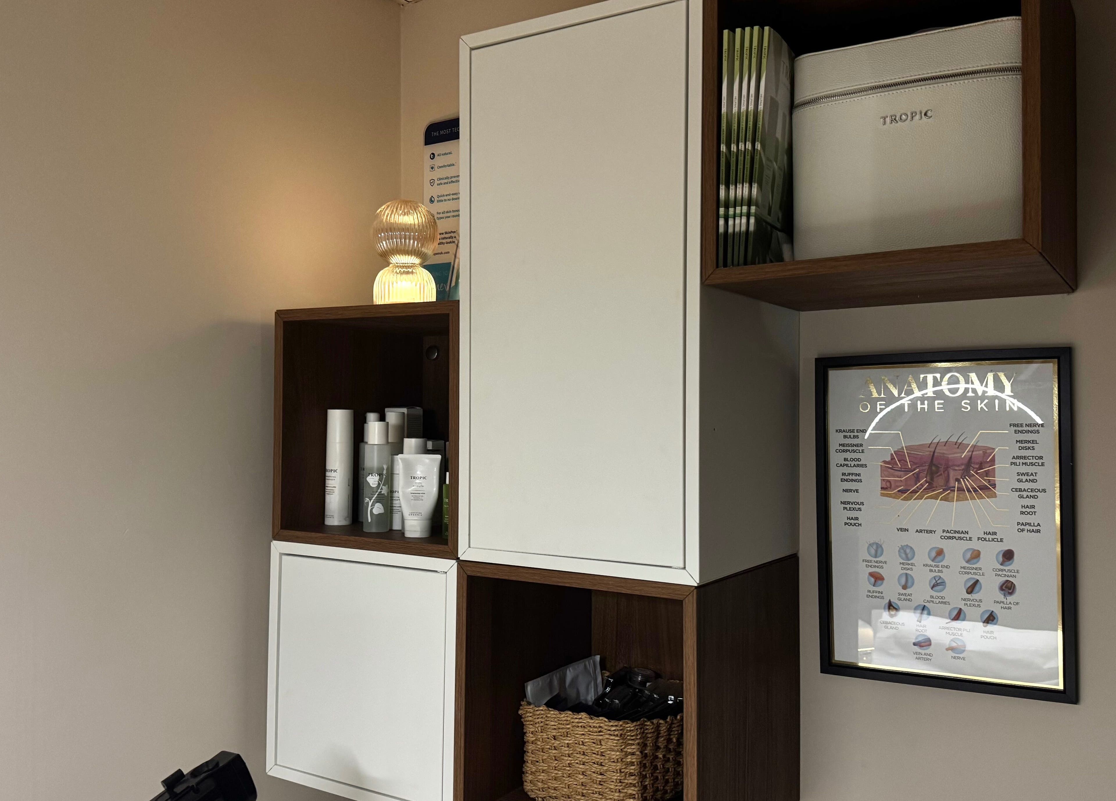 MSKN beauty shelving with skincare products and anatomy poster in Manchester, England, GB.