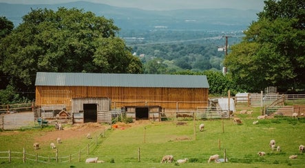 Scenic countryside view near The Beauty Lounge, Tarporley, England, GB with a barn and grazing sheep.