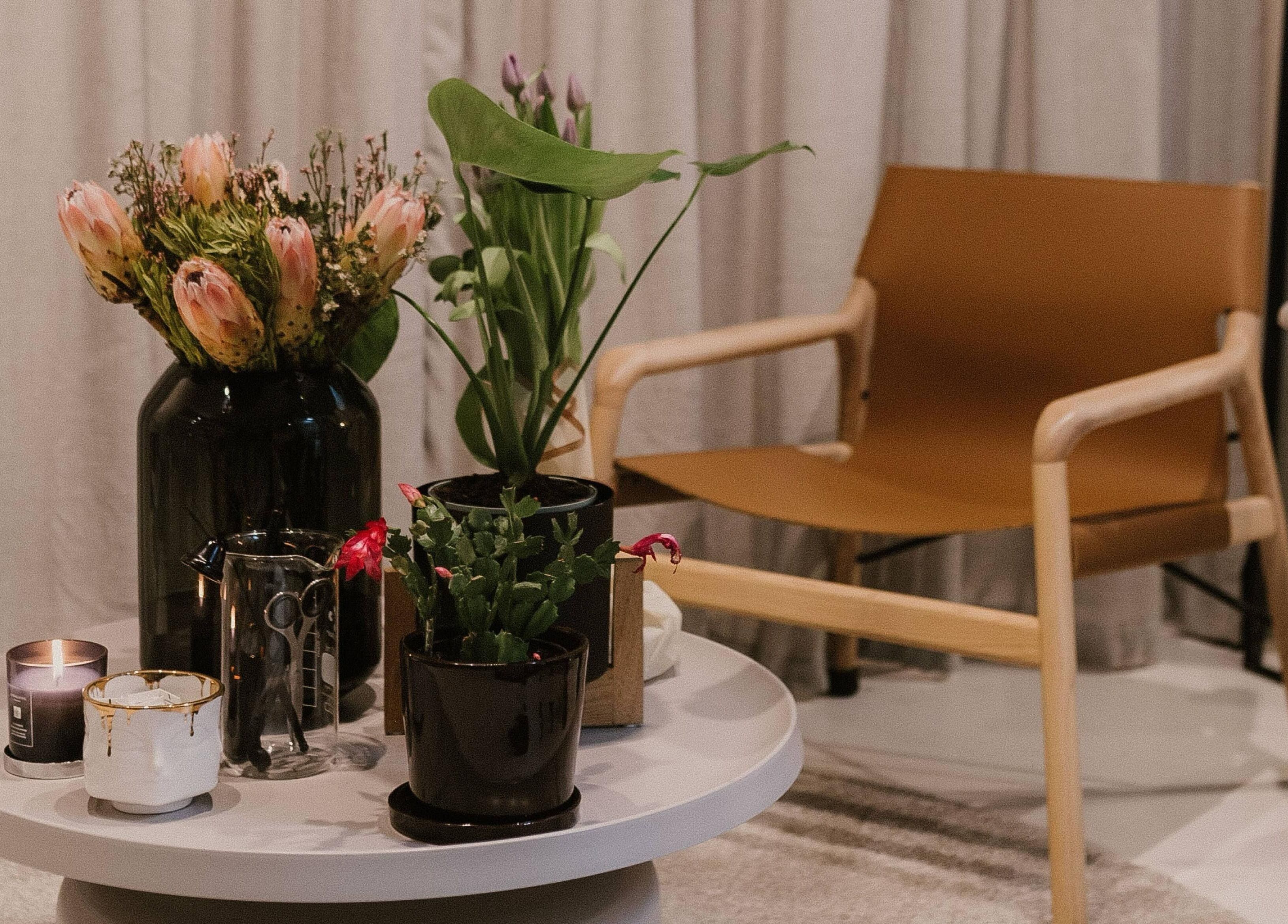 Cozy seating area with plants at Günther Oliver - Skin Medic, Randburg, Gauteng, ZA.