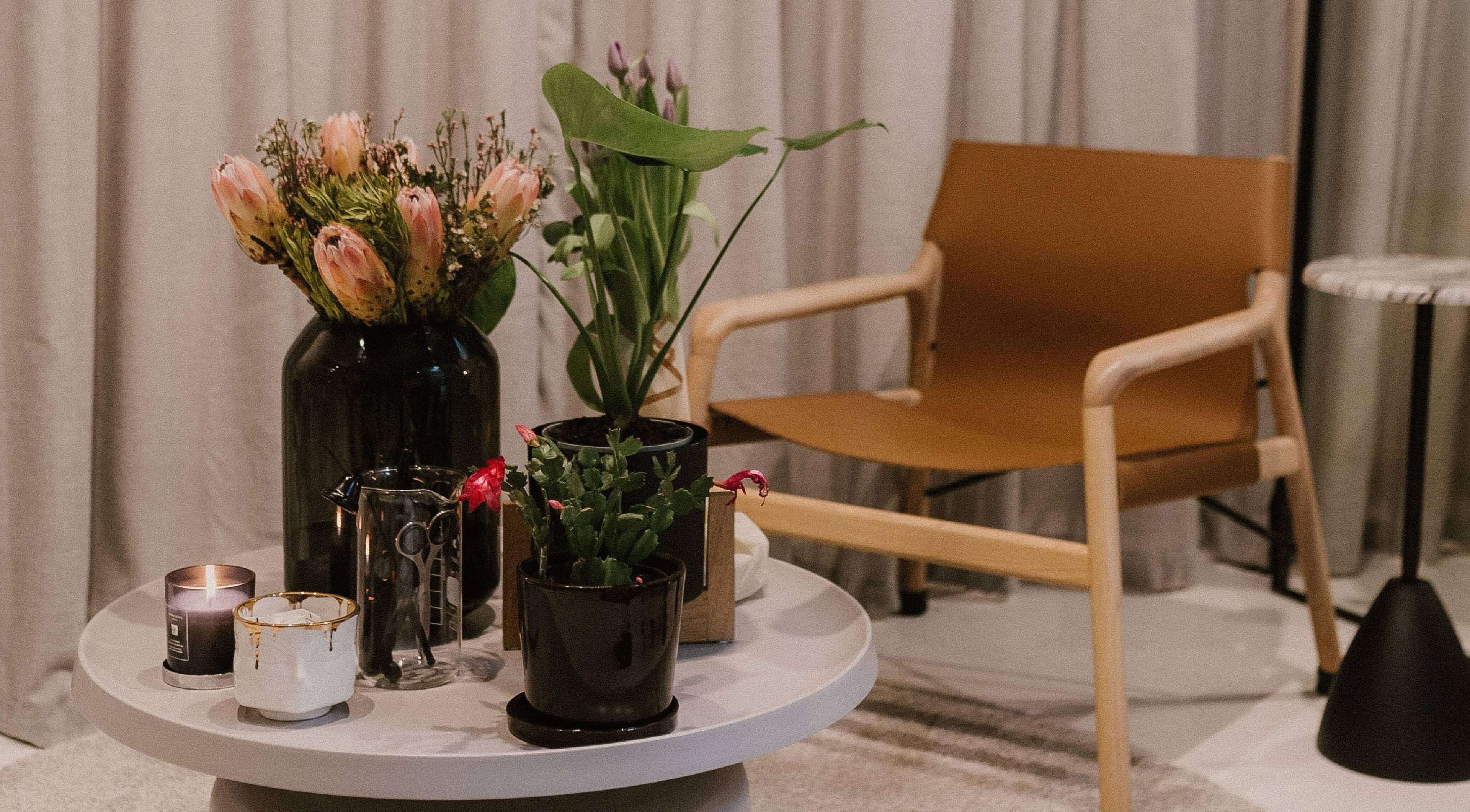 Cozy seating area with plants at Günther Oliver - Skin Medic, Randburg, Gauteng, ZA.