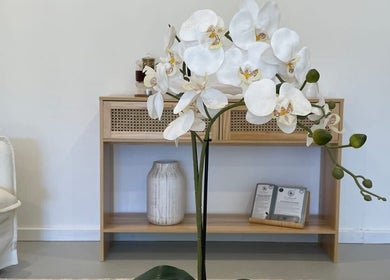 Elegant white orchids at Serenity Wellness Clinic, Subiaco, Western Australia, AU, inviting tranquility.