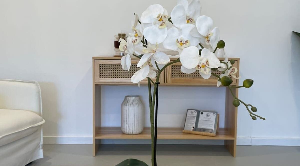 Elegant white orchids at Serenity Wellness Clinic, Subiaco, Western Australia, AU, inviting tranquility.