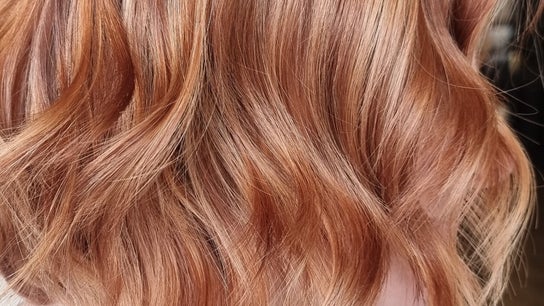 Brushed Salon