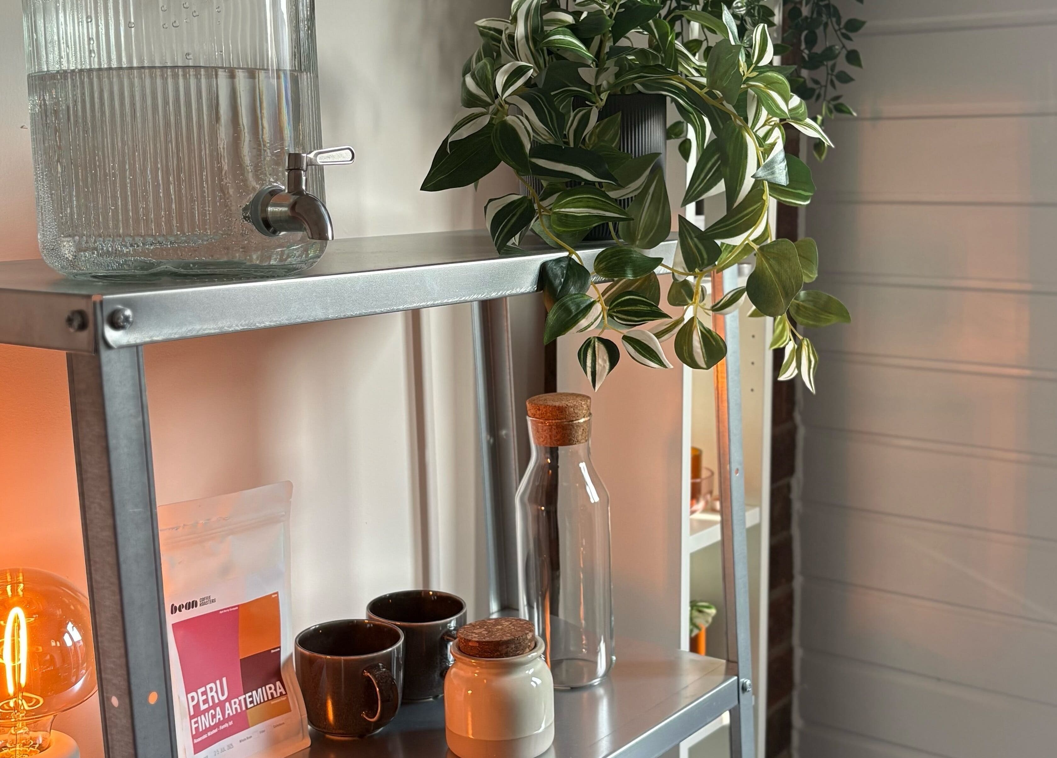 Cozy shelf setup at Concept.6 in Rainworth, England, GB with plants, glassware, and warm lighting.