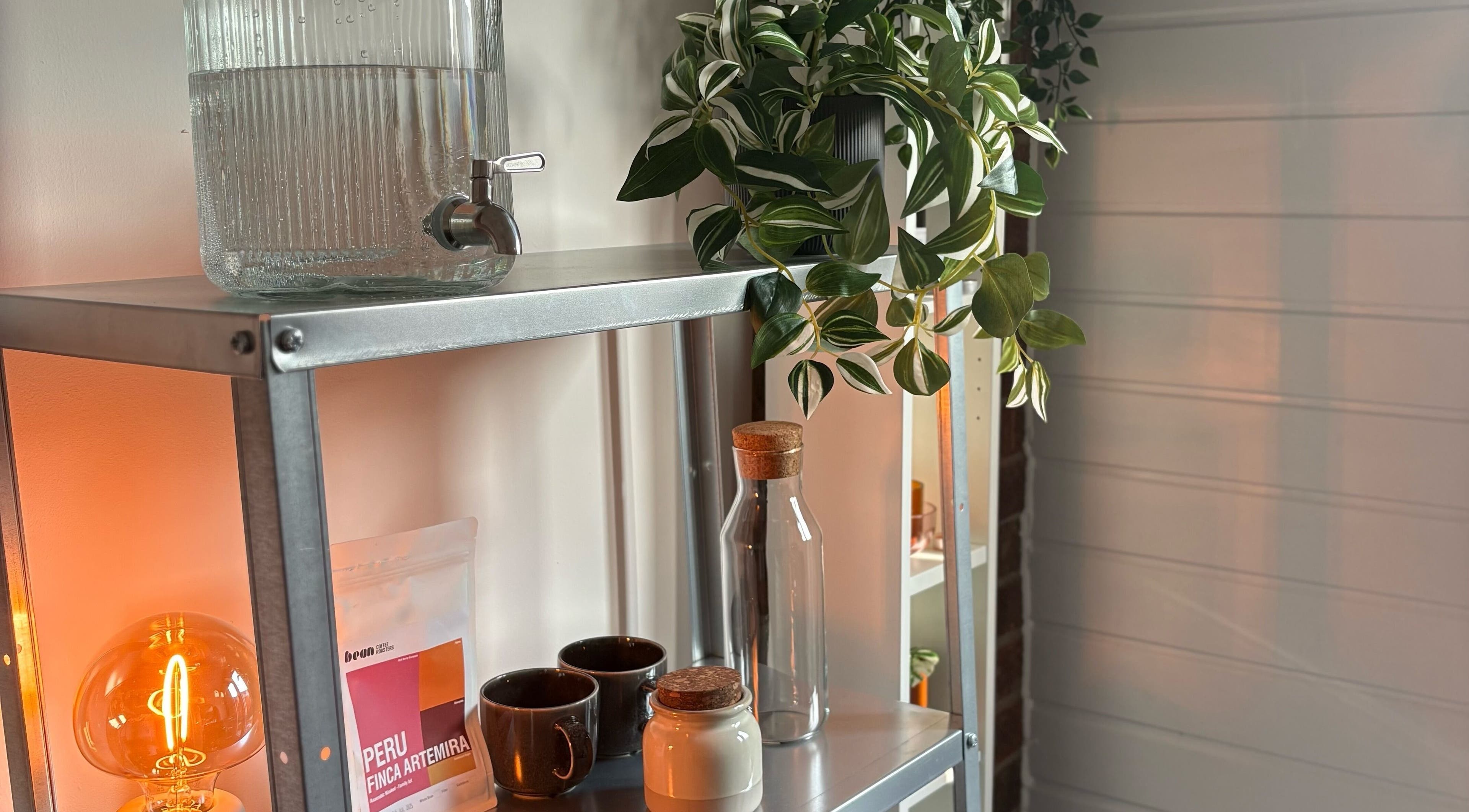 Cozy shelf setup at Concept.6 in Rainworth, England, GB with plants, glassware, and warm lighting.