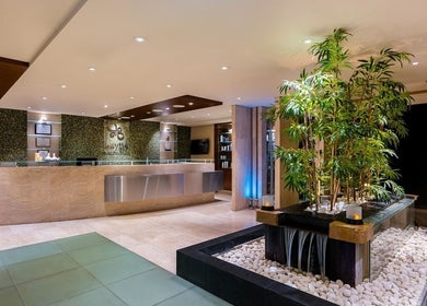 Elegant reception area with greenery at Zayna Spa, Abu Dhabi, Abu Dhabi, AE.