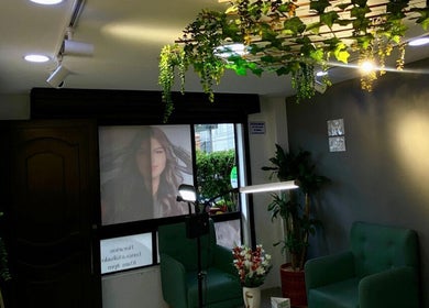 Interior acogedor de Elegance brows studio en Bello, Antioquia, CO, con decoración de plantas y sillones verdes.