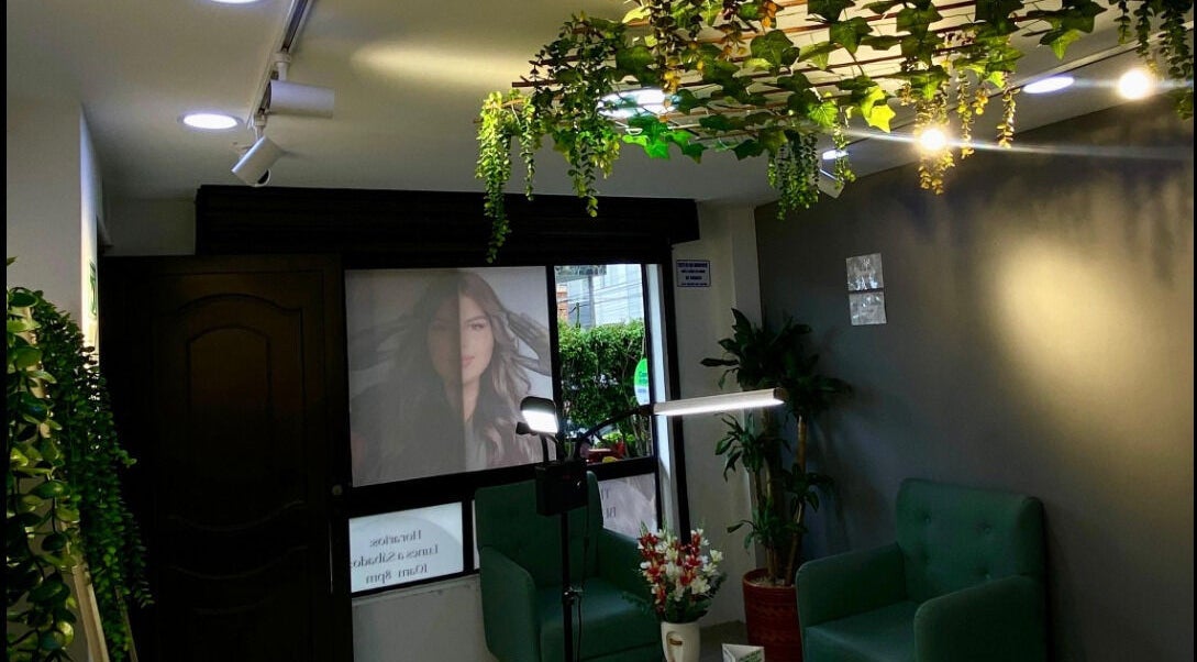 Interior acogedor de Elegance brows studio en Bello, Antioquia, CO, con decoración de plantas y sillones verdes.