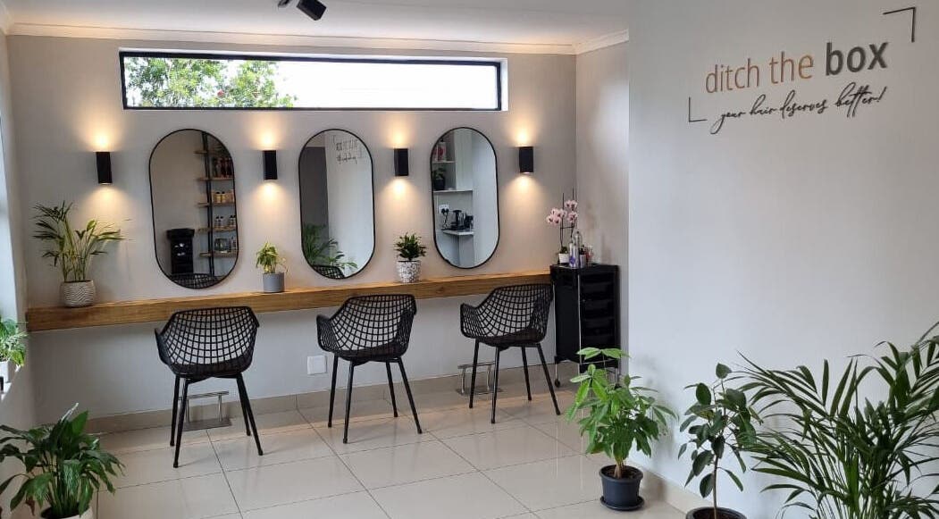 Modern chic salon interior at ditch the box, Gqeberha, Eastern Cape, ZA with stylish mirrors and plants.